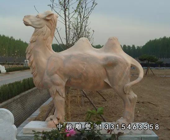 骆驼石雕，公园动物石雕 (2)