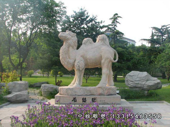 骆驼石雕，公园动物石雕