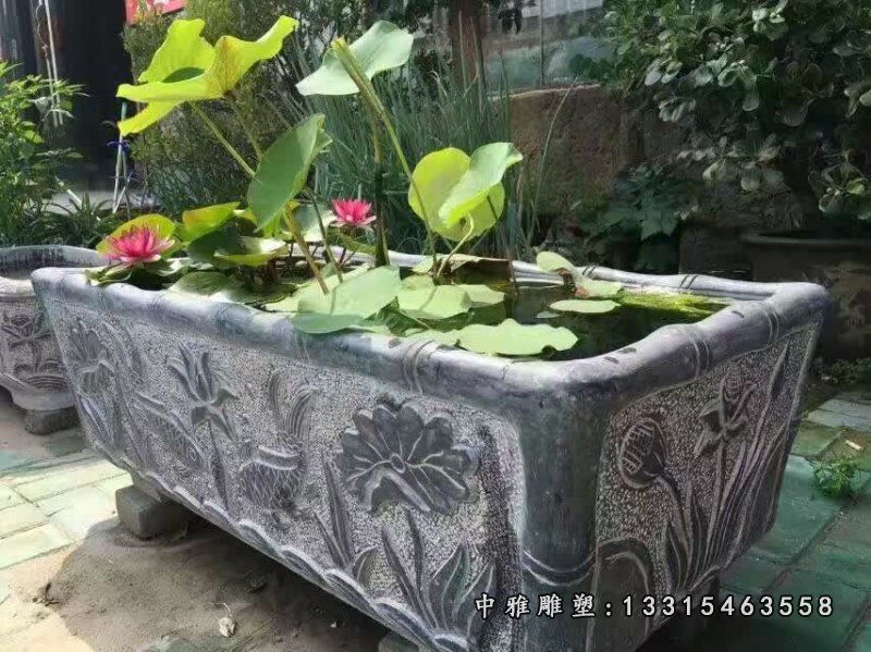 青石小区荷花鱼缸