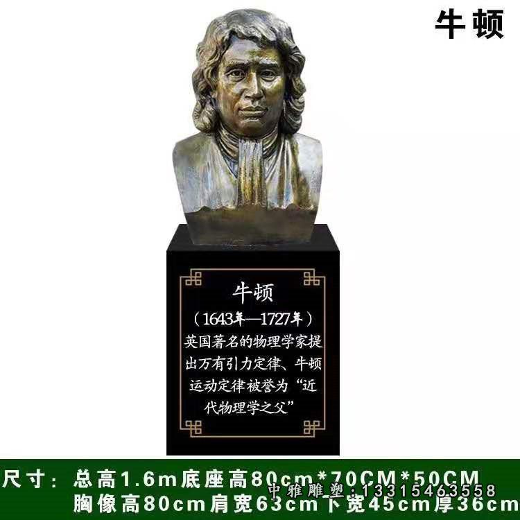 玻璃钢文学家牛顿雕塑校园文化主题名人人物肖像雕像铸铜雕塑定制31730