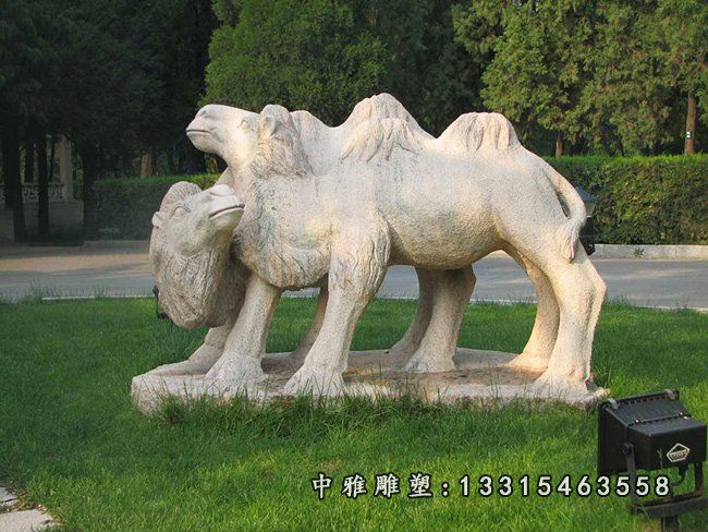骆驼石雕，公园骆驼石雕 (2)