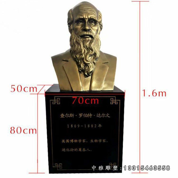 达尔文胸像雕塑，玻璃钢仿铜人物胸像雕塑 (1)