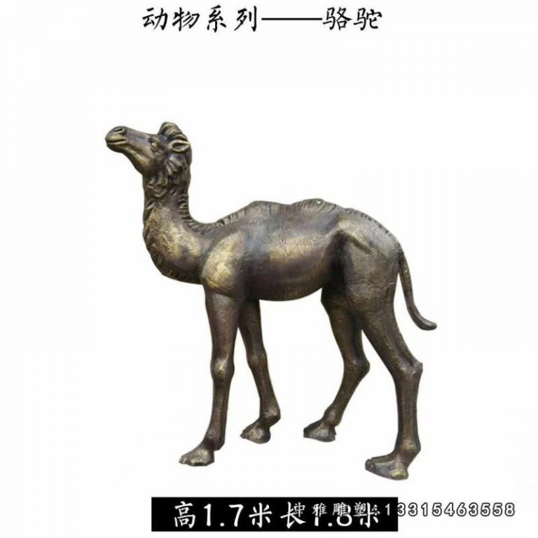 公园动物骆驼铜雕 (3)