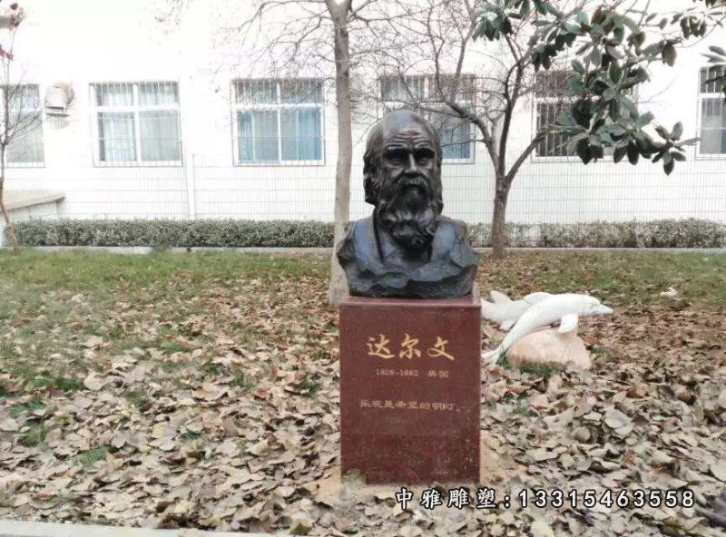 达尔文胸像铜雕雕塑