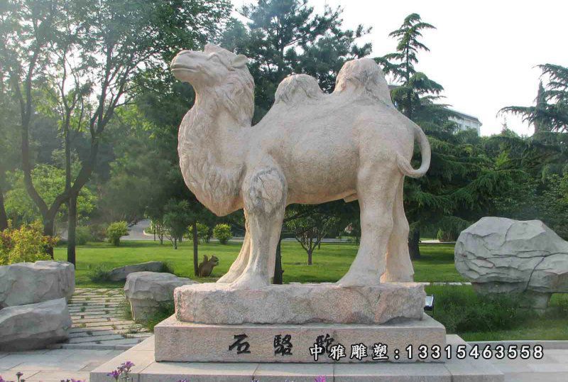 石头骆驼，石骆驼，石雕骆驼