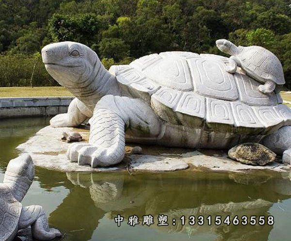 石雕广场乌龟摆件