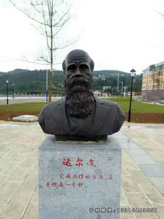 玻璃钢仿铜人物胸像雕塑 ，达尔文胸像雕塑
