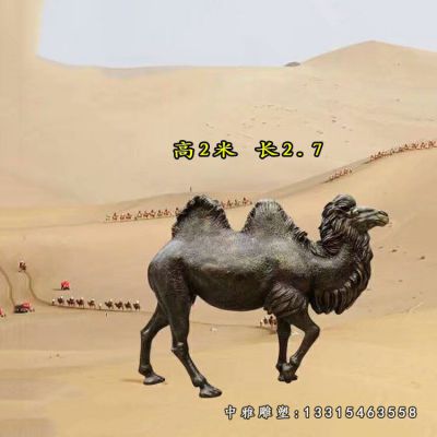 铜雕动物骆驼