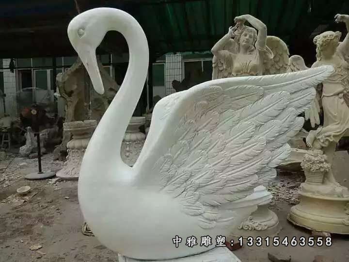 广场天鹅石雕雕塑