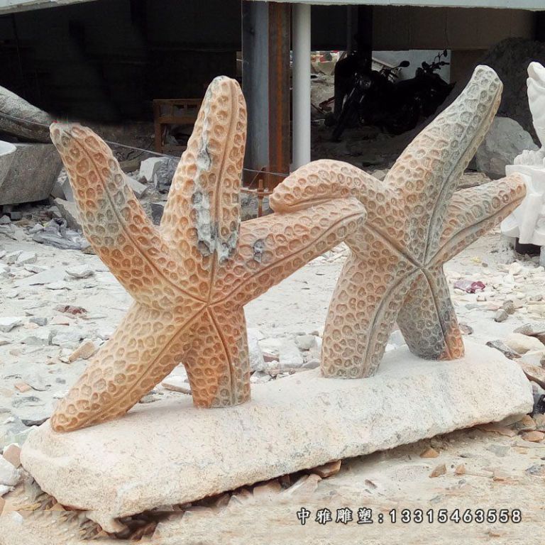 石雕动物海星
