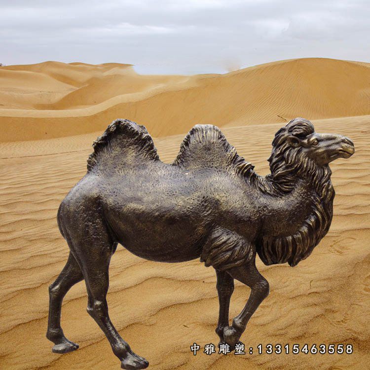 铜雕动物骆驼