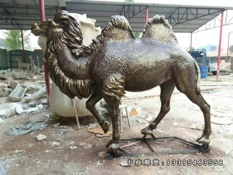 铜雕公园动物骆驼