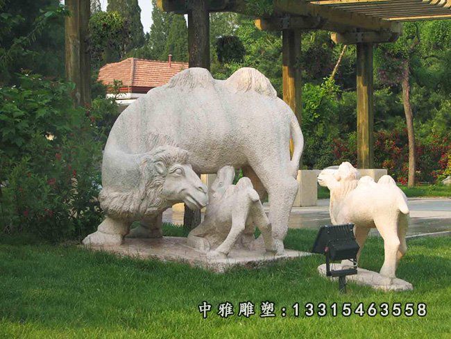 石雕广场骆驼
