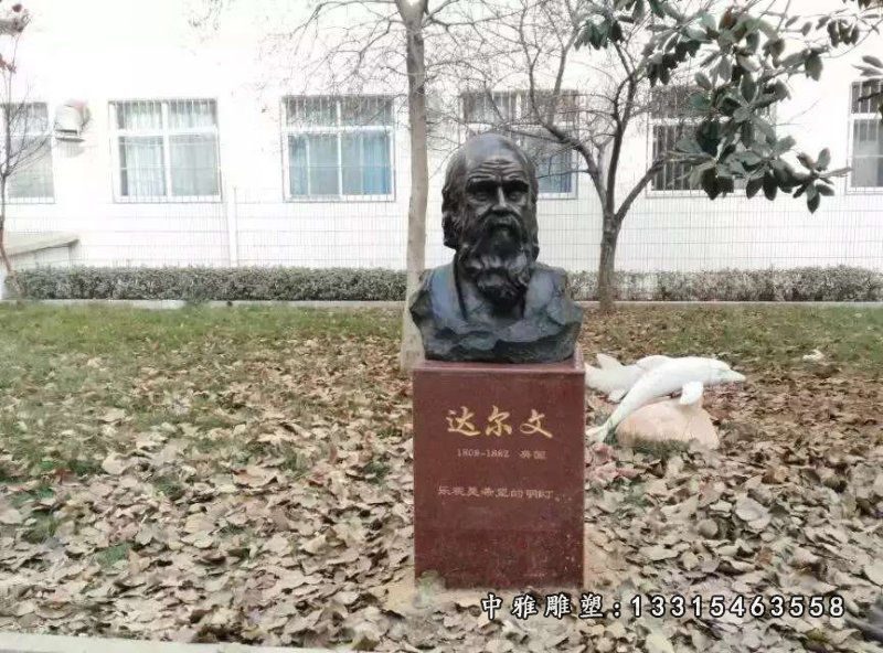 铜雕达尔文胸像