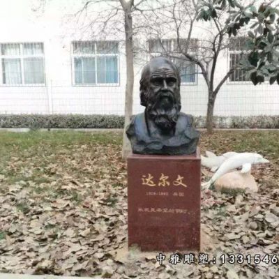 西方名人达尔文铜雕