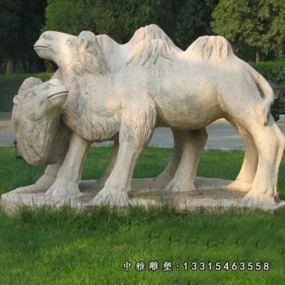 石雕公园骆驼