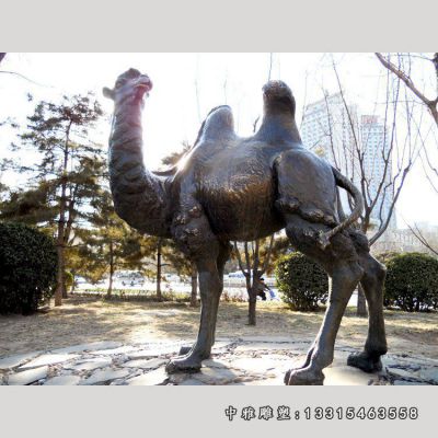 铜雕双峰骆驼雕塑