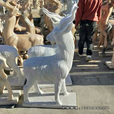 动物羊石雕塑