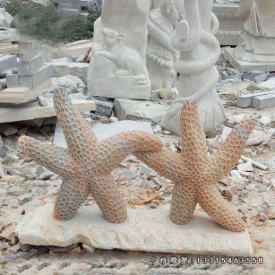 晚霞红石雕海星