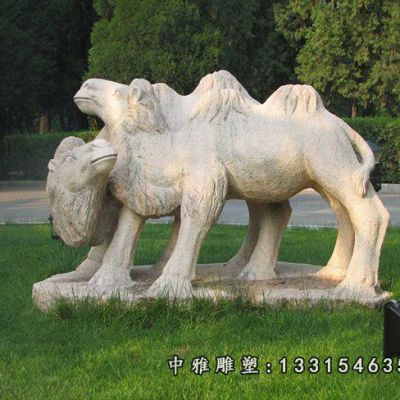 石雕景区骆驼