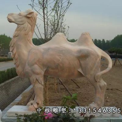 动物石雕骆驼