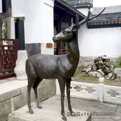 铜雕公园小鹿