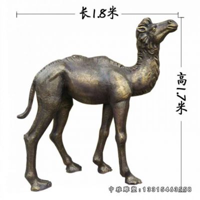 骆驼铜雕动物雕塑