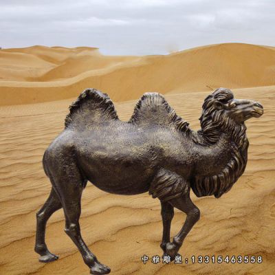 铜雕沙漠骆驼