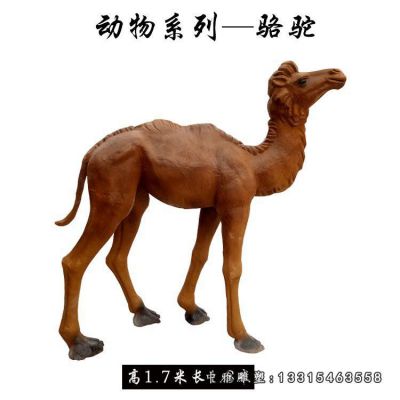 铜雕沙漠骆驼