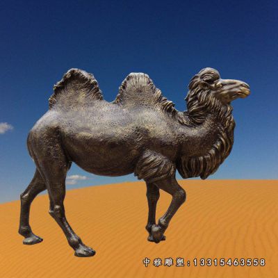 户外铜雕骆驼动物